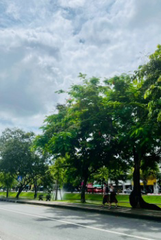 ทุกความสุขมีวันสิ้นสุด วันหยุดยาวก็เช่นกัน 