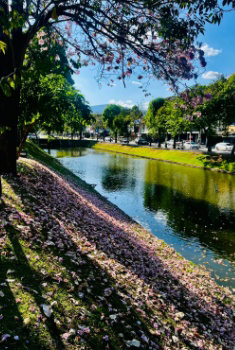 ดวงตาคู่ใหม่